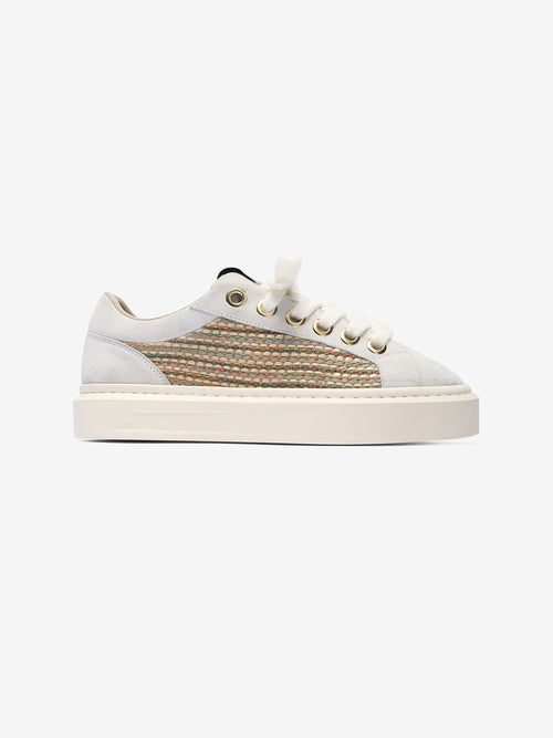 Ace Dove Grey