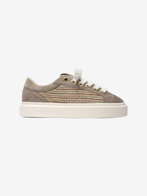 Ace Taupe